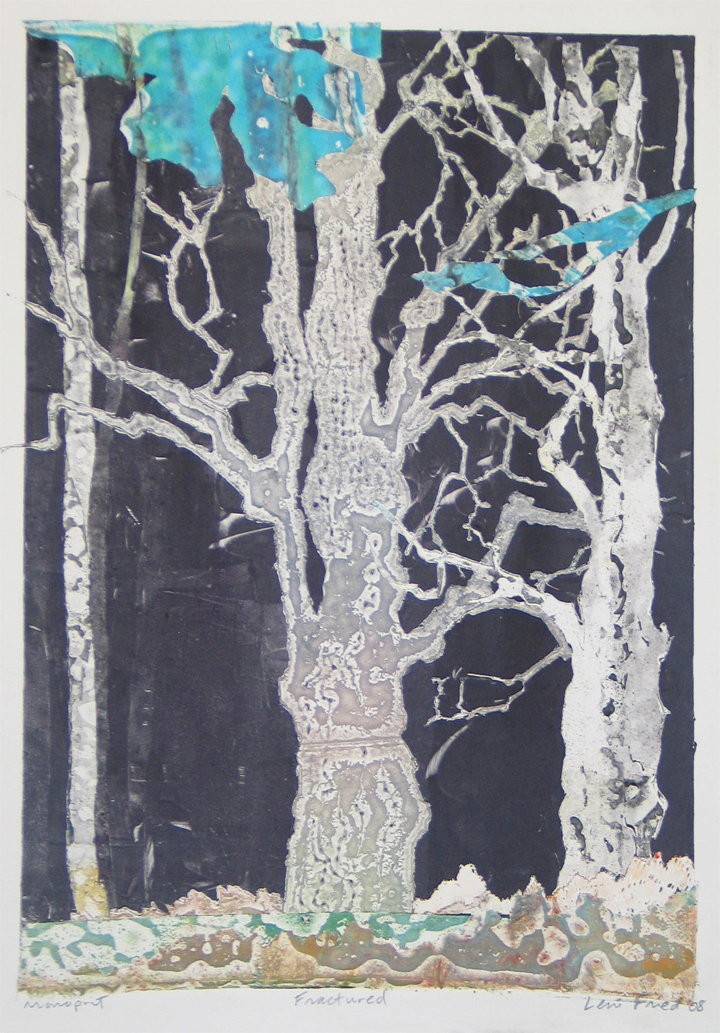 fractured maple tree fine art print