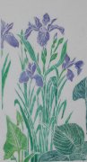 irises floral art print